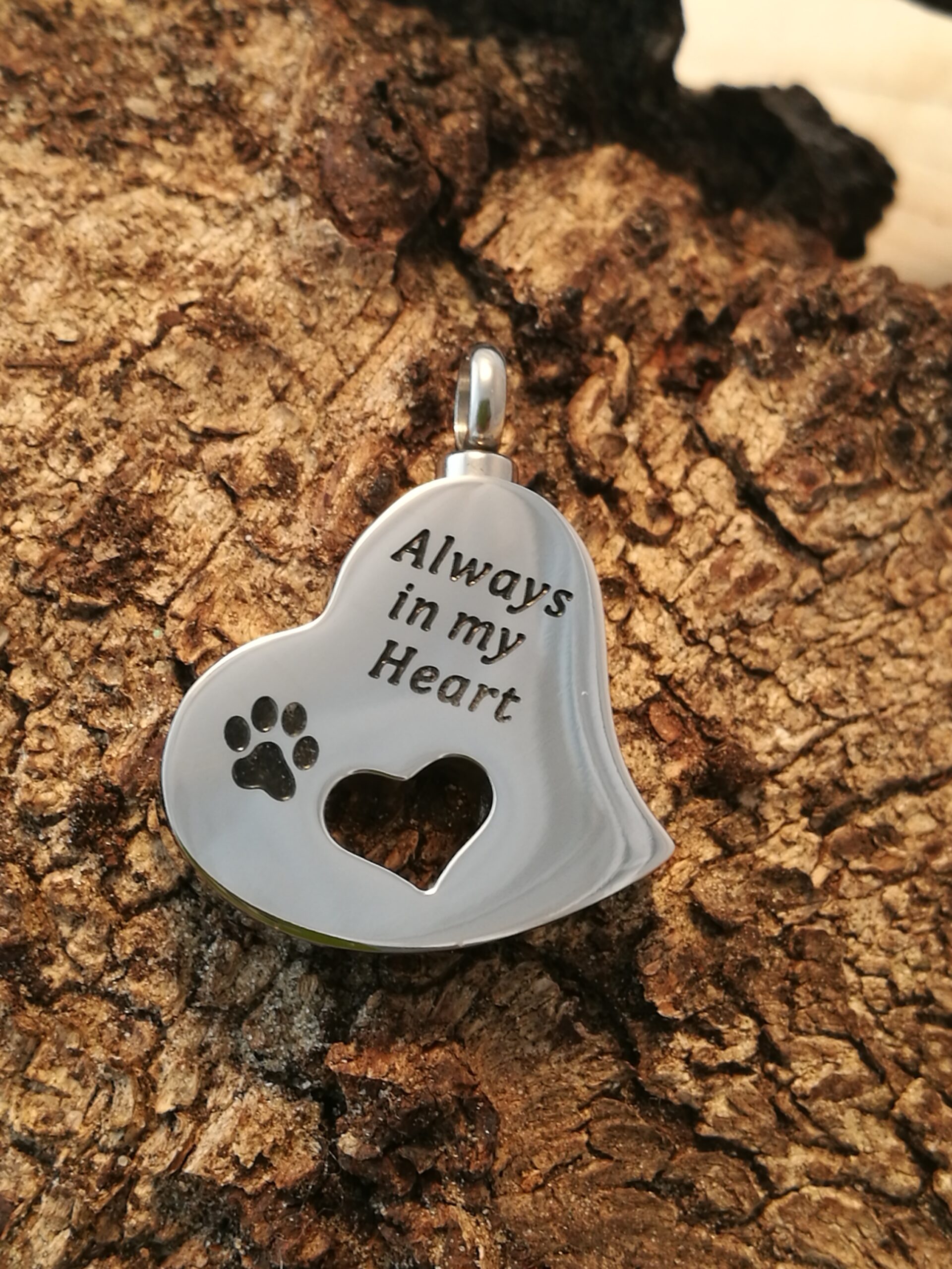 Ashanger Hartje “Always in my Heart”