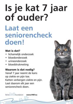senioren check kat