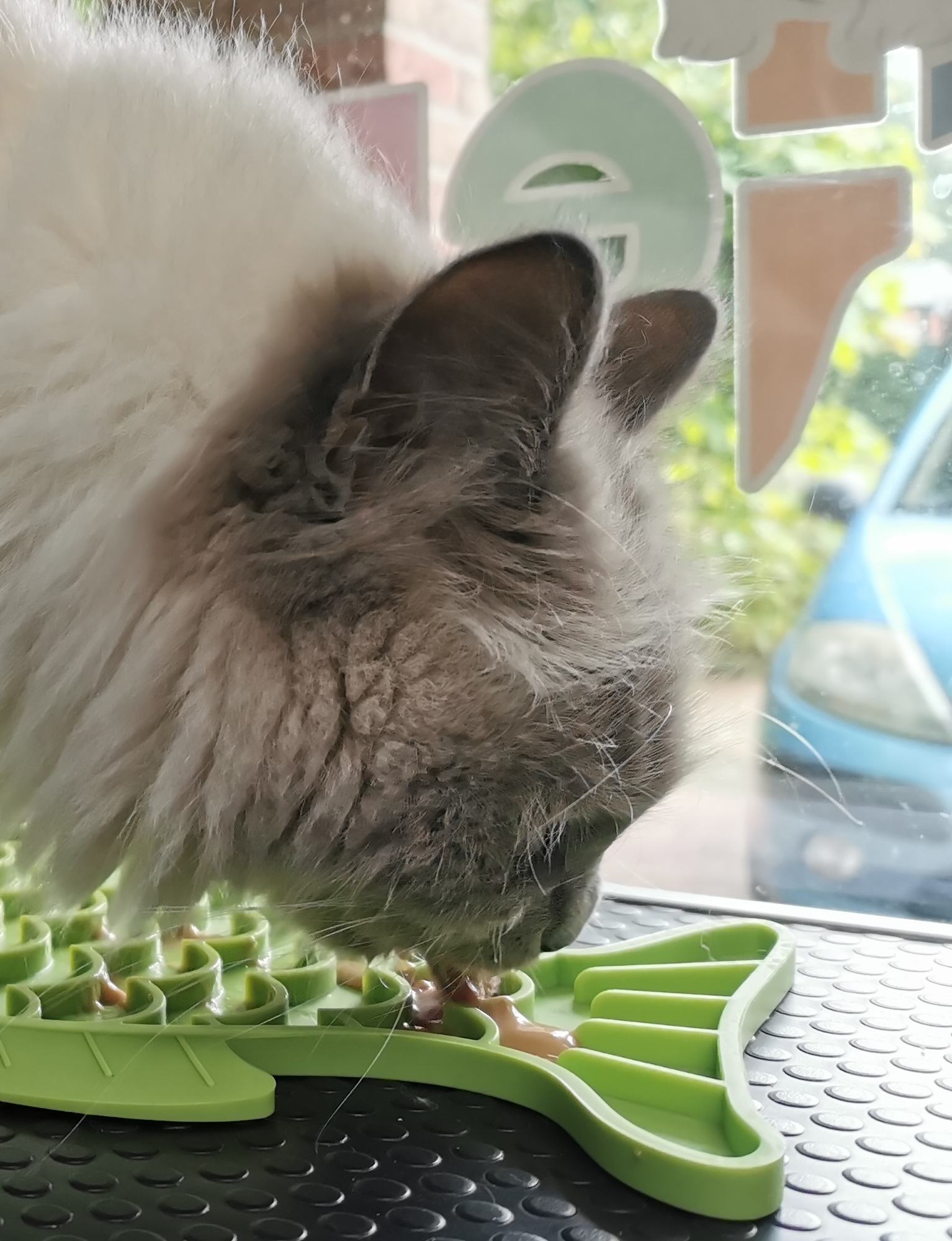 Katten lik-mat (3 kleur)